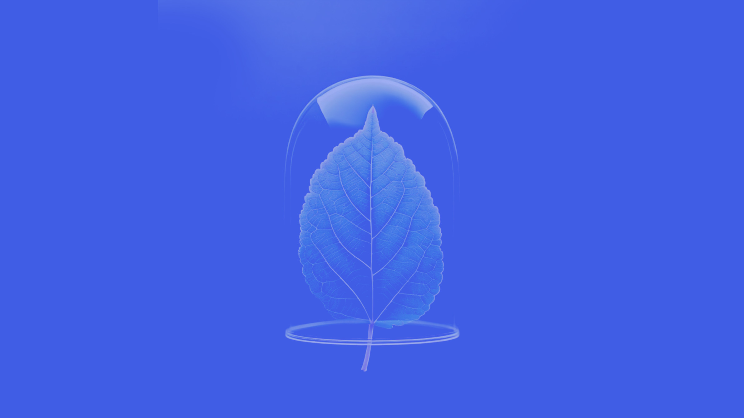 Estrategia ESG - Proteger lo sostenible